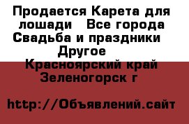 Продается Карета для лошади - Все города Свадьба и праздники » Другое   . Красноярский край,Зеленогорск г.